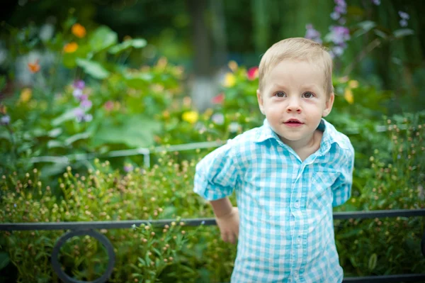 The child at a flower bed — Stock Photo, Image