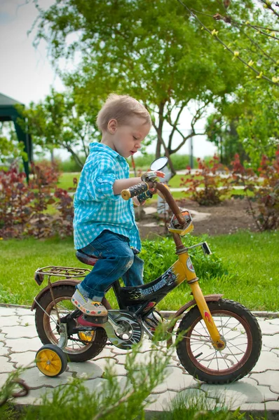 De jongen op een fiets — Stockfoto