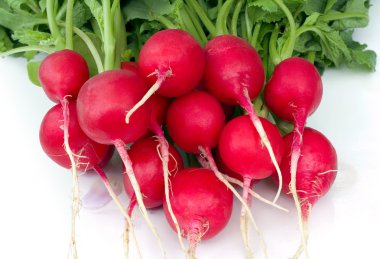 Red Radish clipart