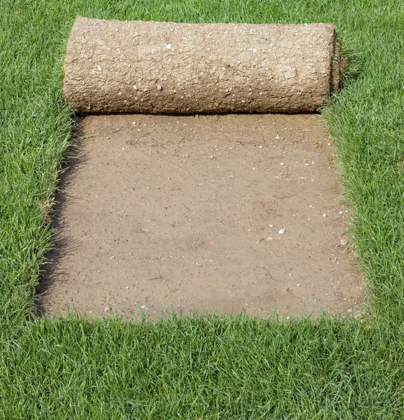 Grass Carpet Cover — Stock Photo, Image