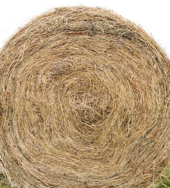 Bale av hö — Stockfoto