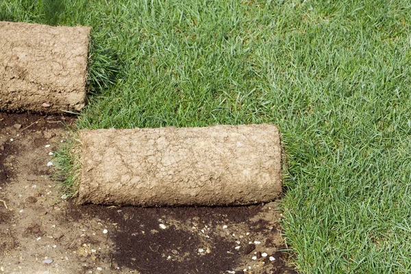 Grass Carpet Rolls — Stock Photo, Image