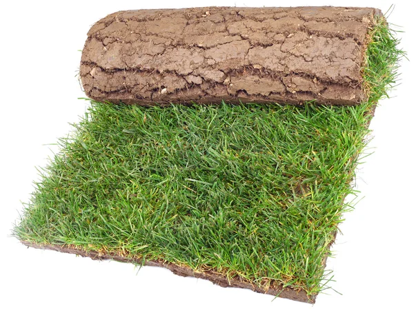 Roll of Grass Rug — Stock Photo, Image