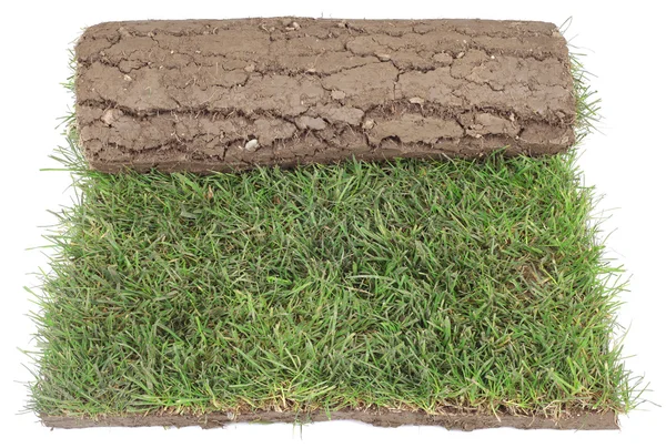 Gräs mattan rulle skär ut — Stockfoto