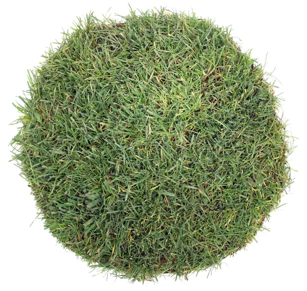 Gräs boll — Stockfoto