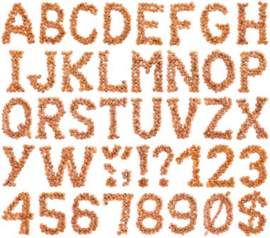 Hazelnut Alphabet Cutout clipart