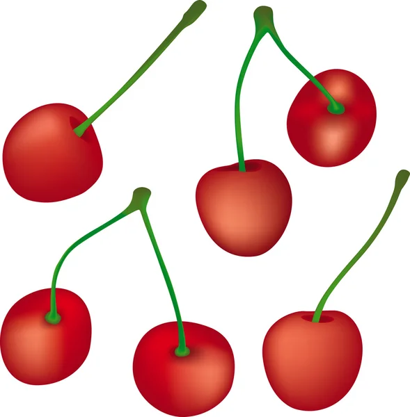 Érett cseresznye — Stock Vector