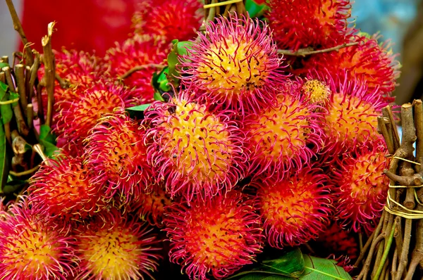 stock image The Fresh rambutan