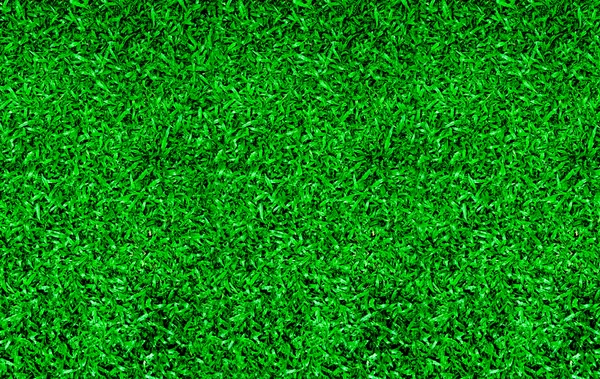 De achtergrondstructuur groen gras — Stockfoto