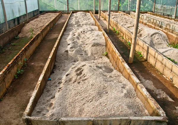 Подготовка почвы в зеленом доме — стоковое фото