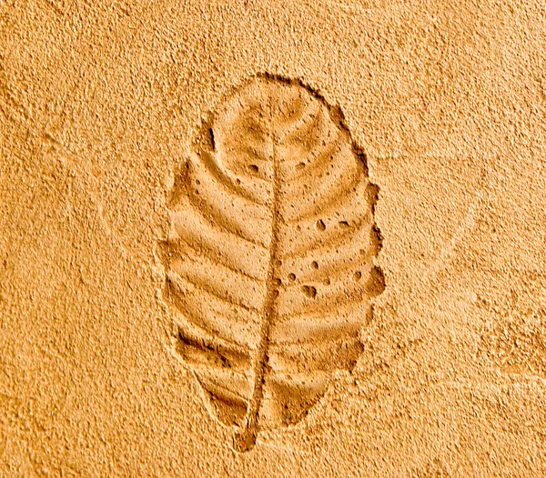 Çimento zemin zemin üzerine baskı yaprağı — Stok fotoğraf