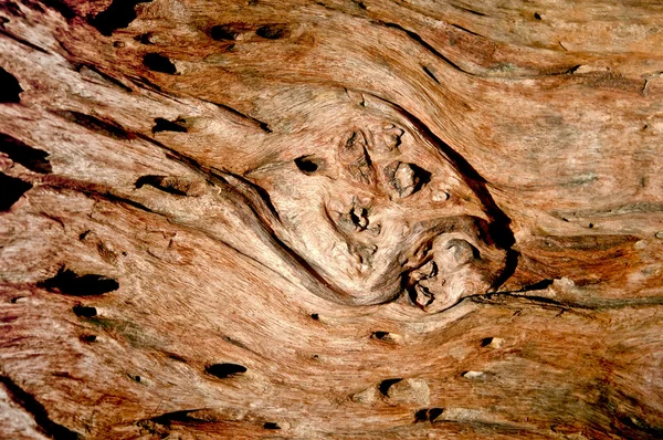 Το ξύλο υφή — Φωτογραφία Αρχείου