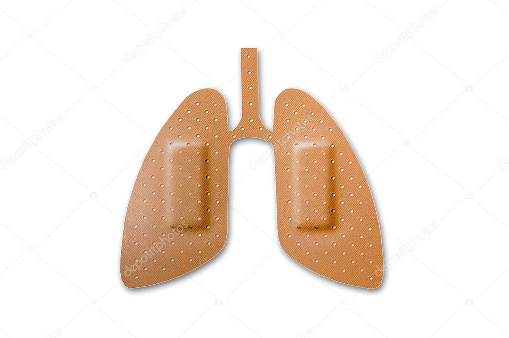 The Bandage of lung isolated on white background