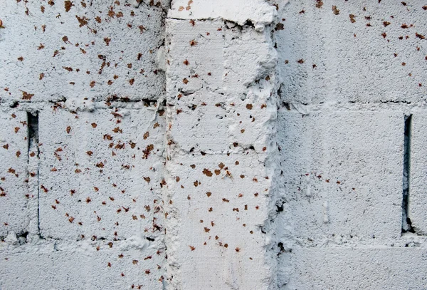 Il colore vernice peeling su sfondo muro di cemento — Foto Stock