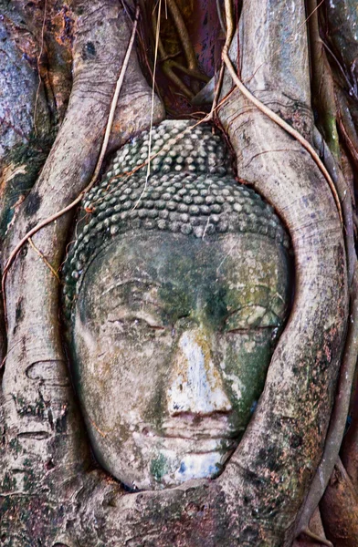 仏の状態と ayuttha のワットマハタート寺院遺跡 — ストック写真