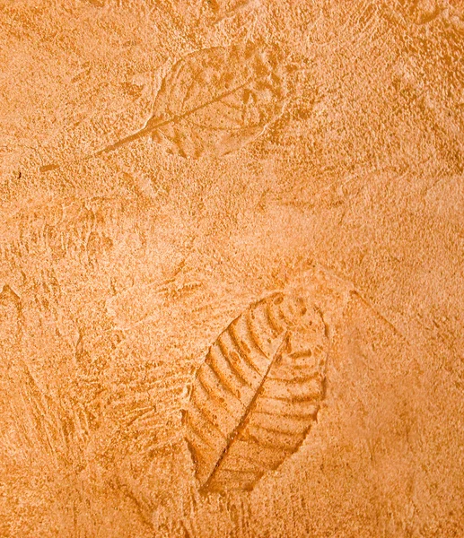 Лист отпечатка на фоне цементного пола — стоковое фото