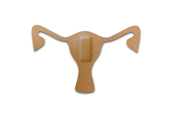 The Bandage of uterus isolated on white background — Stock Photo, Image