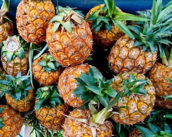 The Fresh pineapple — Stock Photo, Image
