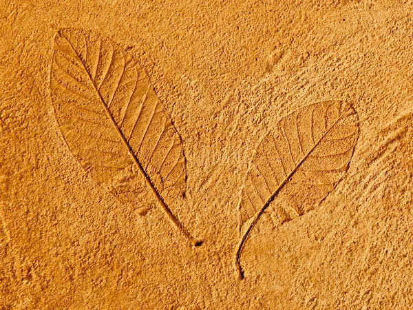 시멘트 바닥 배경에 인쇄물 잎 — 스톡 사진