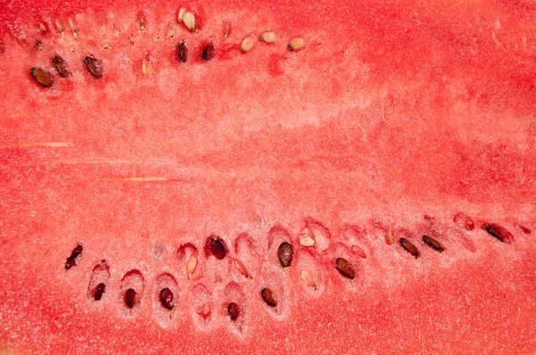 stock image The Close up water melon