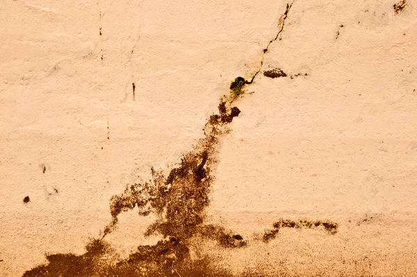 Tuğla çimento doku — Stok fotoğraf