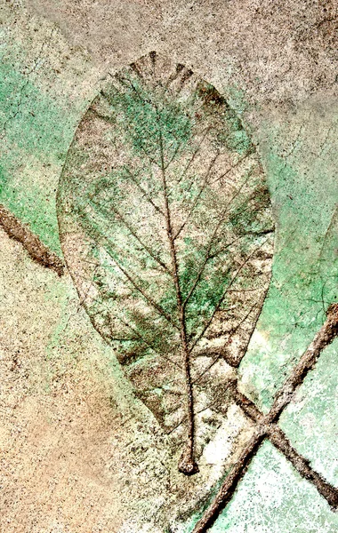 Відбиток листя в бетоні — стокове фото