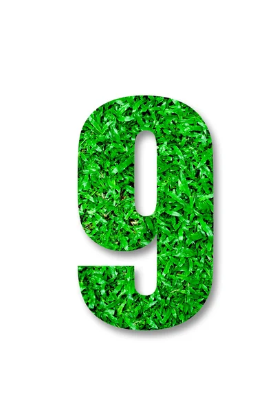 Liczba dziewięć zielona trawa na białym tle — Zdjęcie stockowe