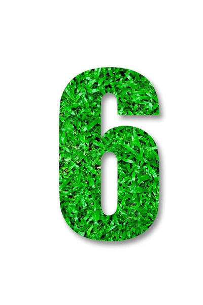 Liczba sześć zielona trawa na białym tle — Zdjęcie stockowe