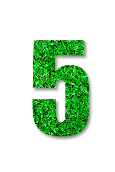 Antalet fem grönt gräs isolerad på vit bakgrund — Stockfoto