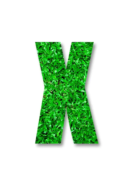 Зеленая трава алфавит x изолированы на белом фоне — стоковое фото