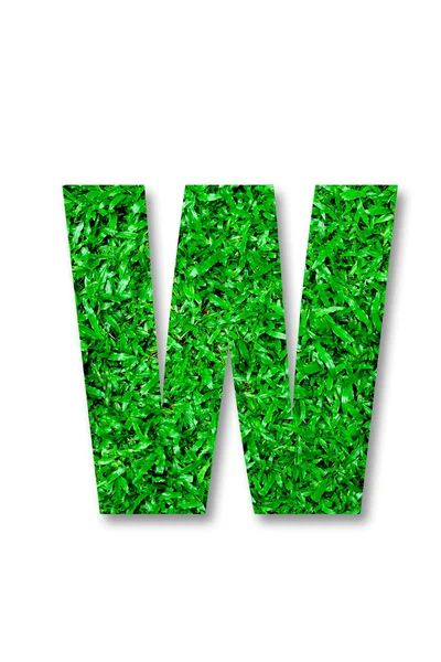 Het groene gras alfabet van w geïsoleerd op witte achtergrond — Stockfoto