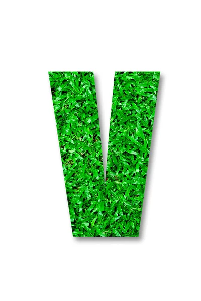 The Green grass alphabet of v isolated on white background — Stock Photo, Image
