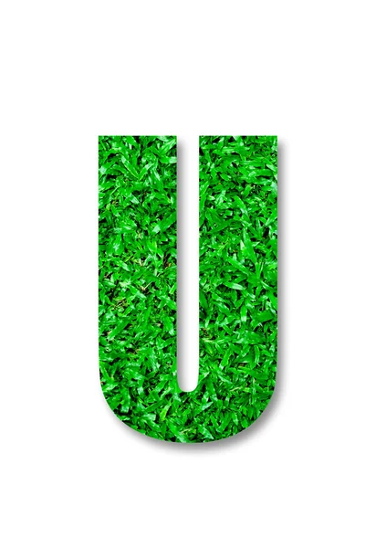 The Green grass alphabet of u isolated on white background — Stock Photo, Image