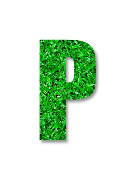 L'alphabet herbe verte de p isolé sur fond blanc — Photo