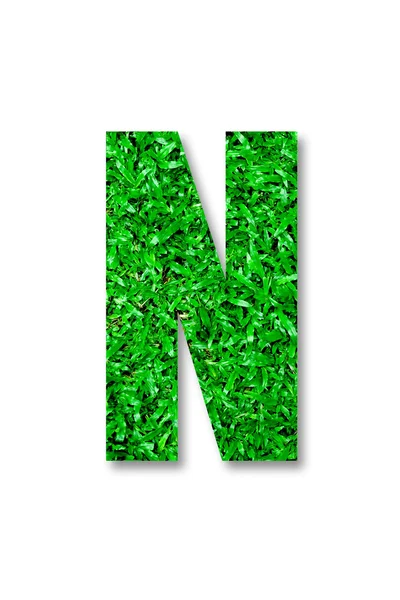 N の白い背景で隔離の緑の草のアルファベット — ストック写真