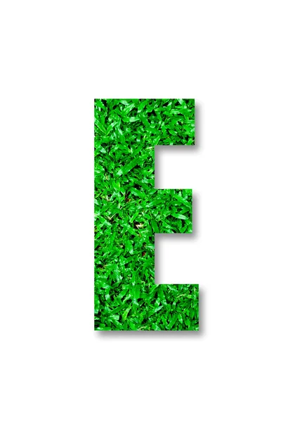 Das grüne Grasalphabet von e isoliert auf weißem Hintergrund — Stockfoto