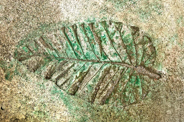 The Leaf imprint in concrete — Stock Photo, Image