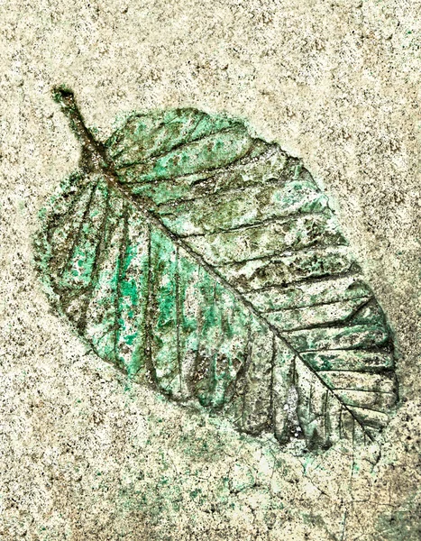 Leaf avtryck i betong — Stockfoto