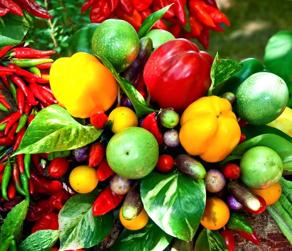 色彩鲜艳的红辣椒加上蔬菜 — 图库照片