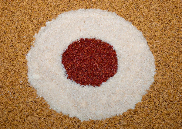 Sztuka ryżu niełuskanego i ryżu matowy — Zdjęcie stockowe