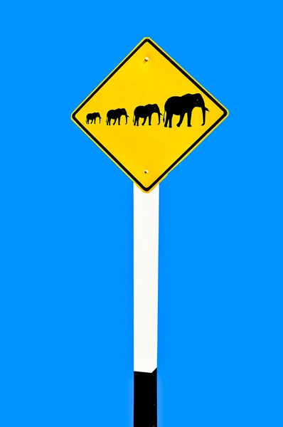 El signo del elefante de la familia aislado sobre fondo azul — Foto de Stock