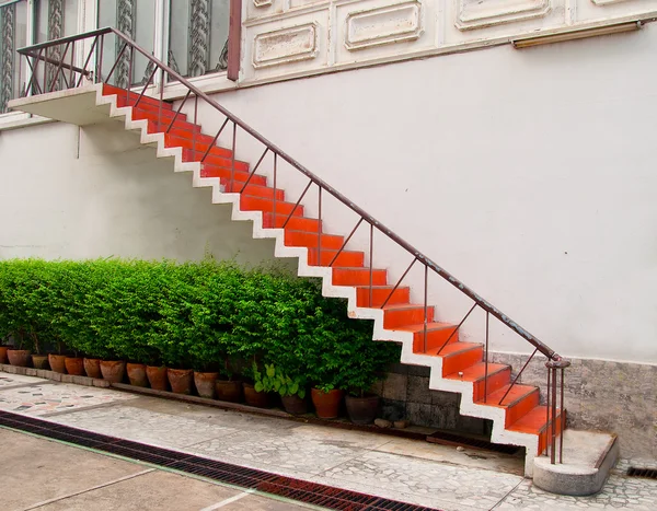 Le vieil escalier — Photo