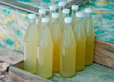 bir şişe su ham palm şeker Tayland