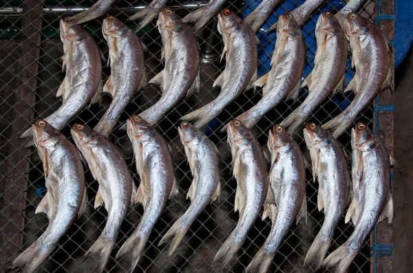 De gedroogde vis op de markt — Stockfoto
