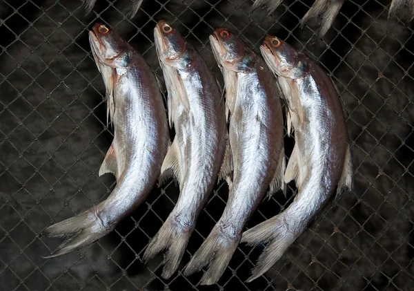 Kurutulmuş balık Market — Stok fotoğraf