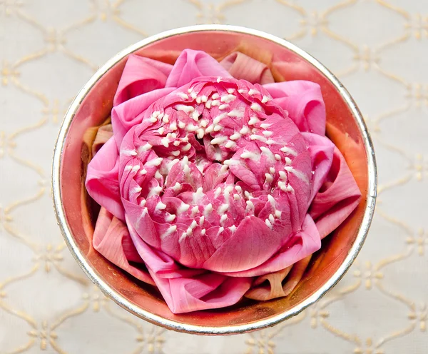 The Pink lotus on brass cup — Stock Photo, Image