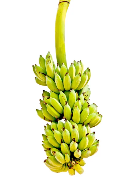 A banana isolada sobre fundo branco — Fotografia de Stock