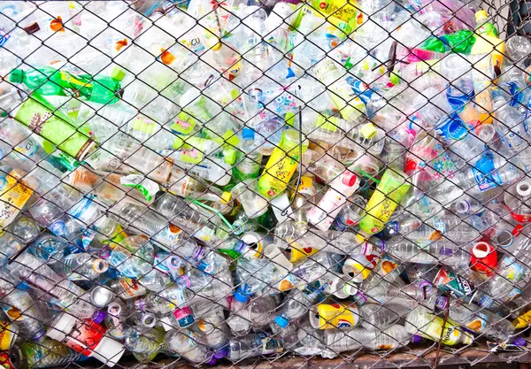 Láhev plastů k recyklaci — Stock fotografie