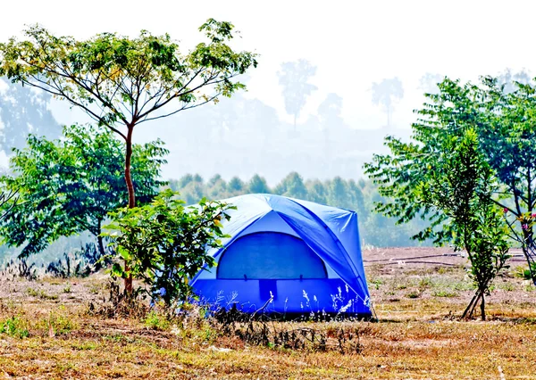 De blauwe tent op het forest — Stockfoto