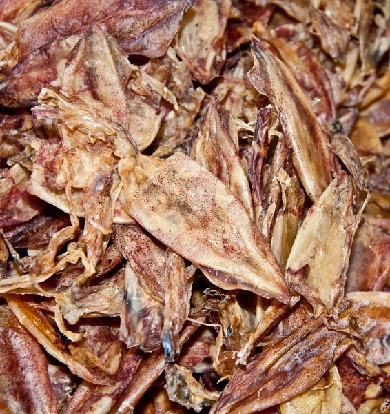 The Dried squid at seafood market in thailand — Stock Photo, Image